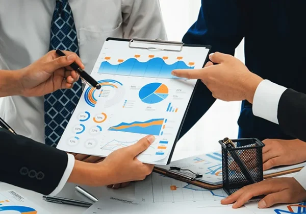 Business Processes and system maturity assessment